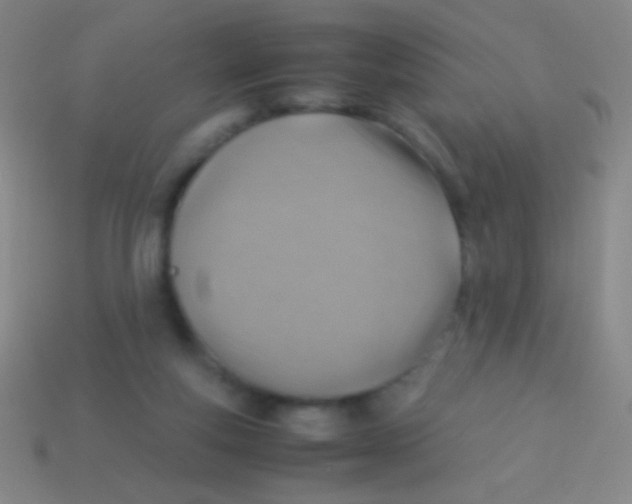 X0000113590163200910161851
