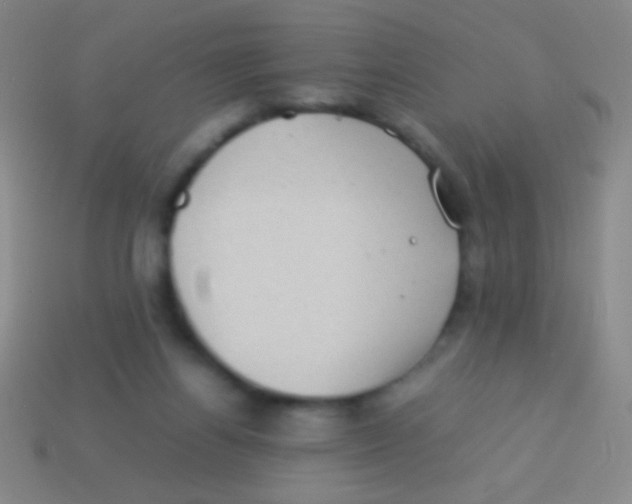 X0000113590164200910161851