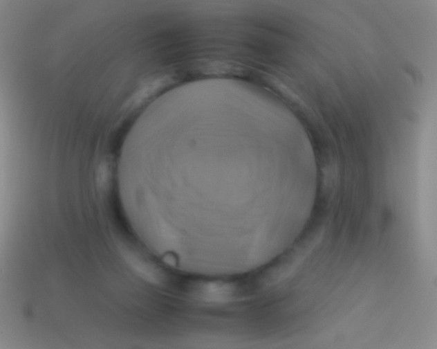 X0000113590165200910161851