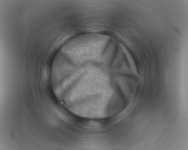 X0000113590166200910161851