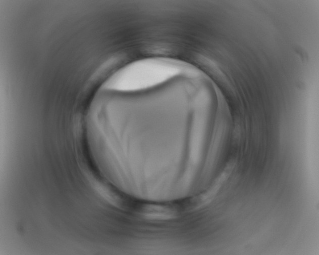 X0000113590167200910161851