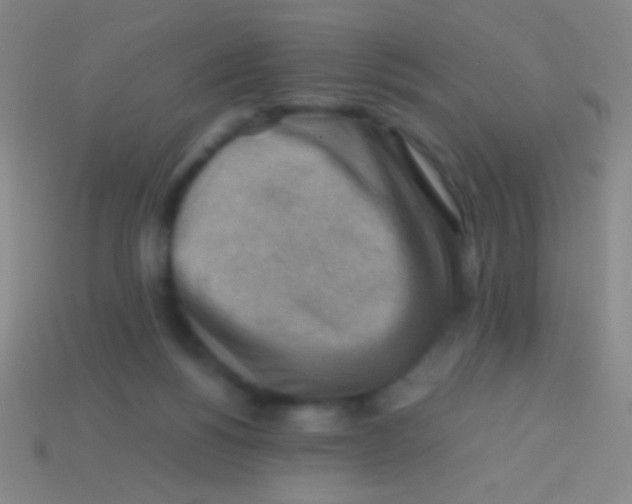 X0000113590168200910161851