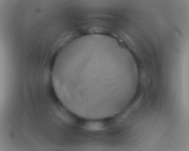 X0000113590169200910161851