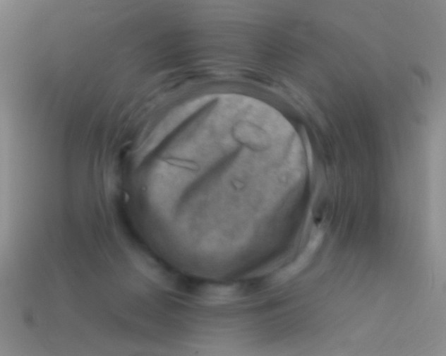 X0000113590170200910161851
