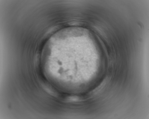 X0000113590171200910161851
