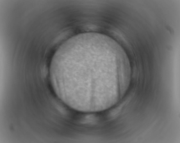 X0000113590173200910161851