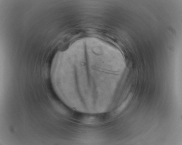 X0000113590174200910161851