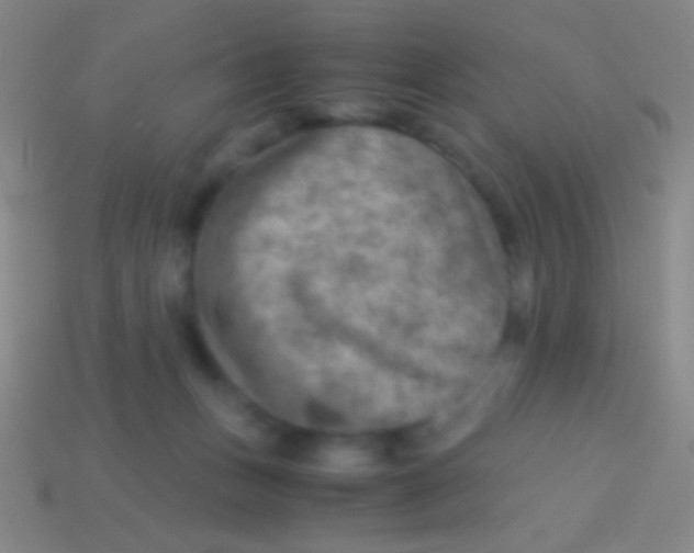 X0000113590175200910161851