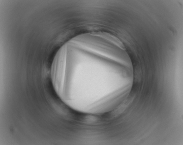 X0000113590176200910161851
