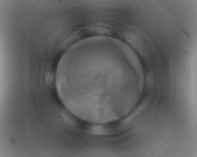 X0000113590177200910161851