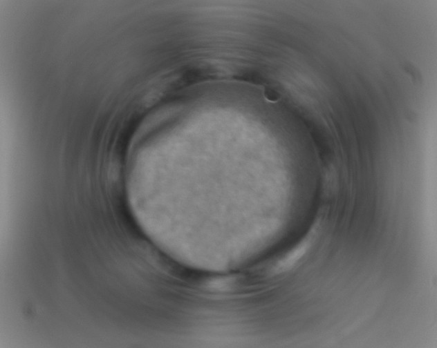 X0000113590178200910161851