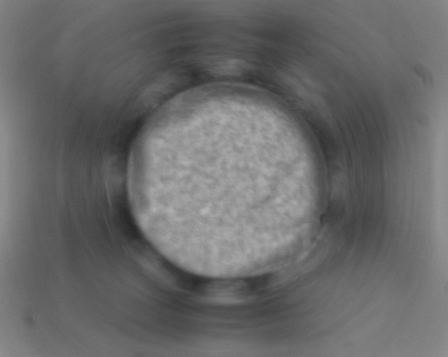 X0000113590179200910161851