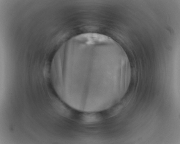 X0000113590181200910161851