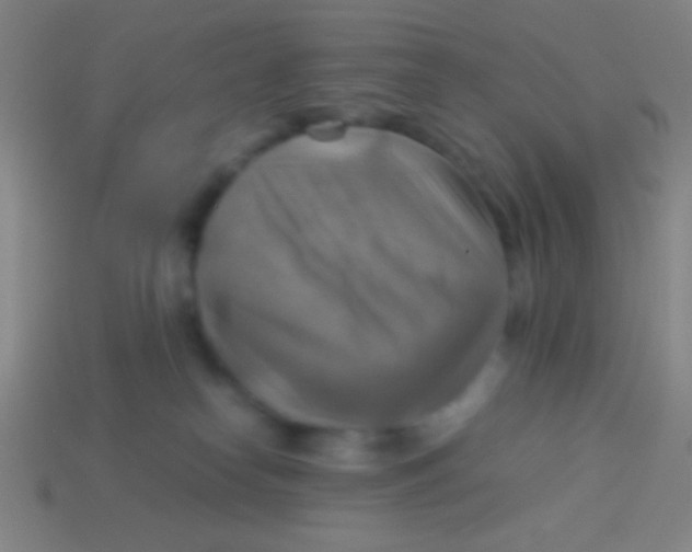 X0000113590182200910161851