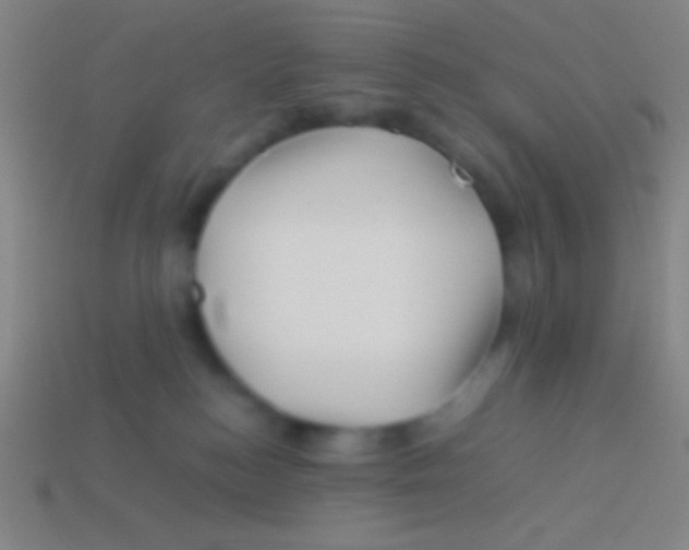 X0000113590184200910161851
