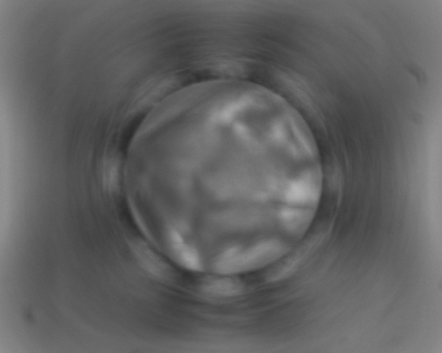 X0000113590185200910161851
