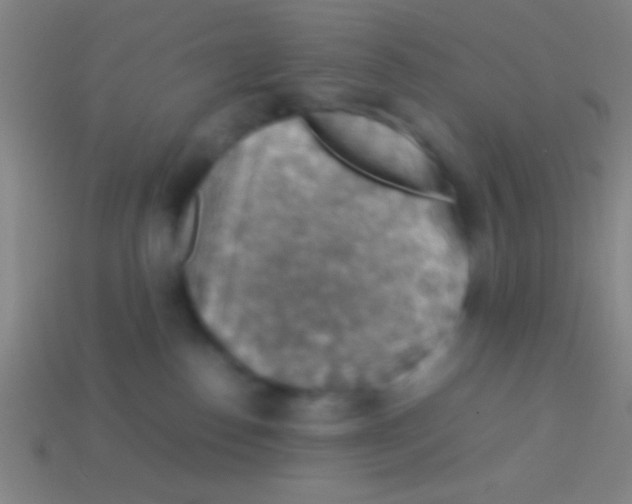 X0000113590186200910161851