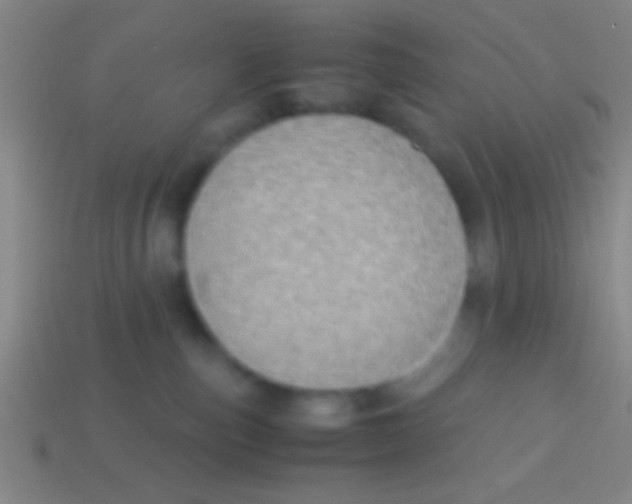 X0000113590187200910161851