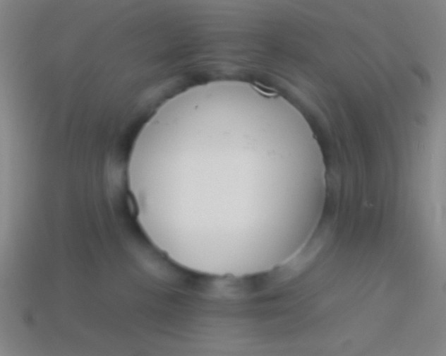 X0000113590188200910161851