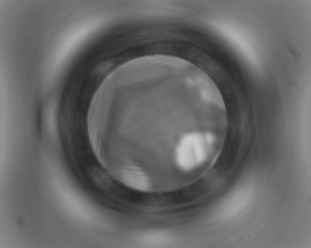 X0000113590189200910161851