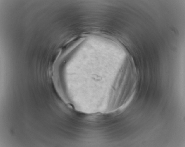 X0000113590190200910161851