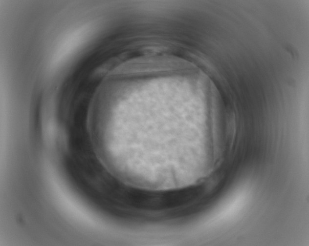 X0000113590191200910161851