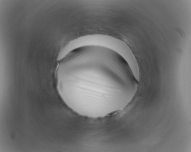 X0000113590192200910161851