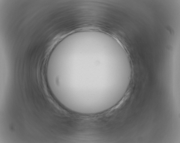 X0000113590193200910161850
