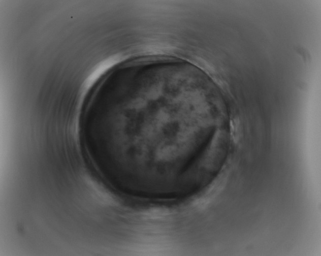 X0000113590196200910161850