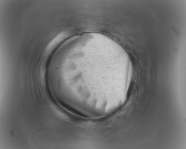 X0000113590197200910161850