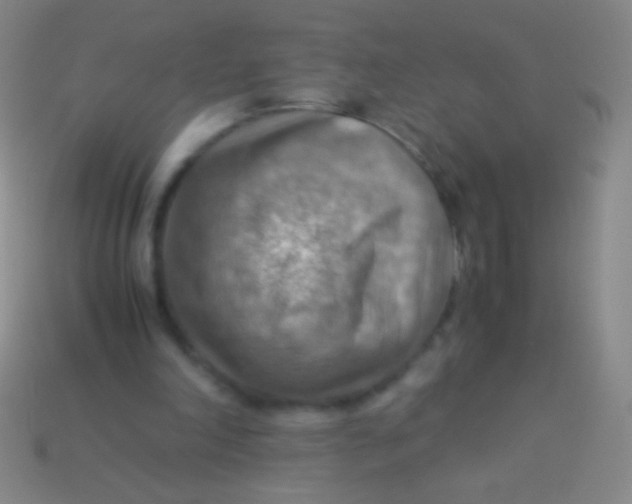 X0000113590198200910161850