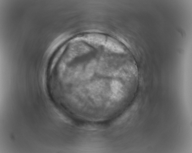 X0000113590199200910161850