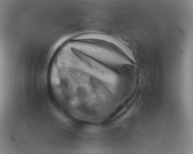 X0000113590200200910161850
