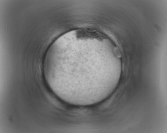 X0000113590201200910161850