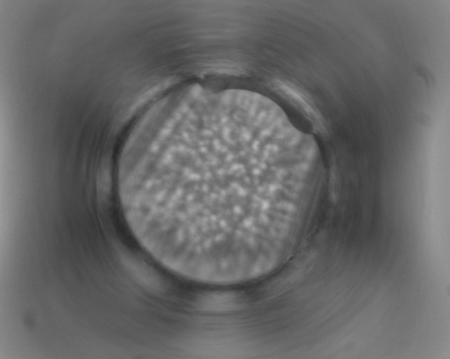 X0000113590202200910161850