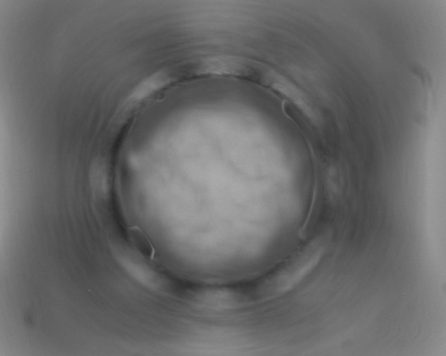 X0000113590203200910161850