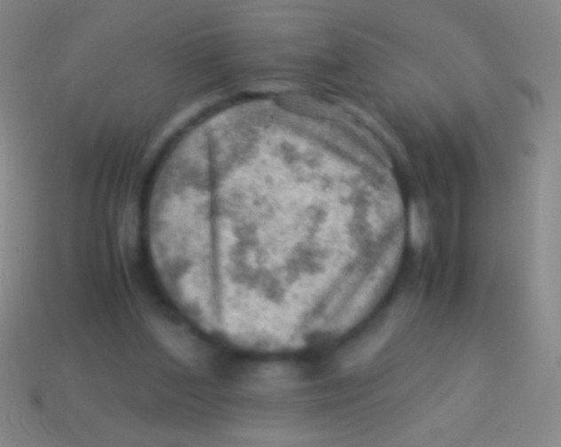 X0000113590204200910161850