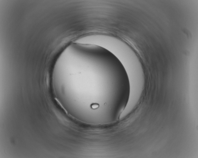 X0000113590205200910161850