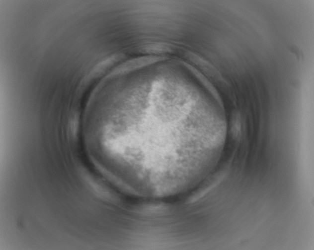 X0000113590206200910161850
