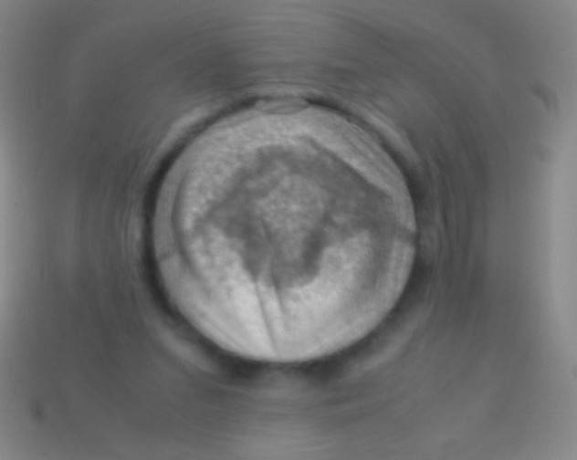 X0000113590207200910161850