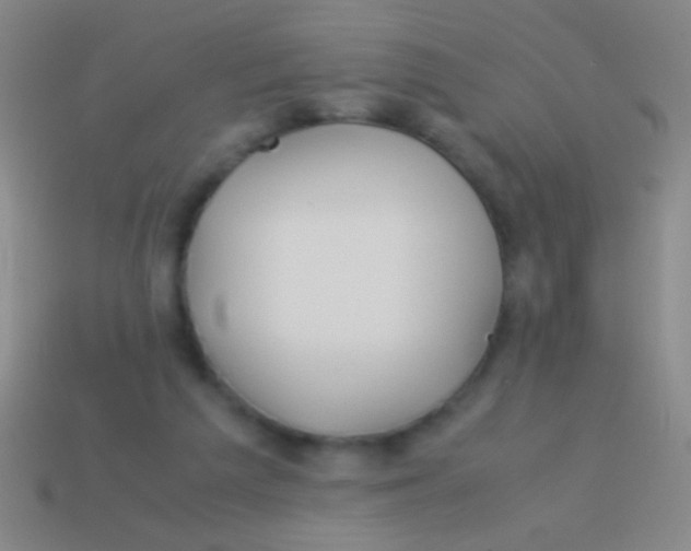 X0000113590209200910161850