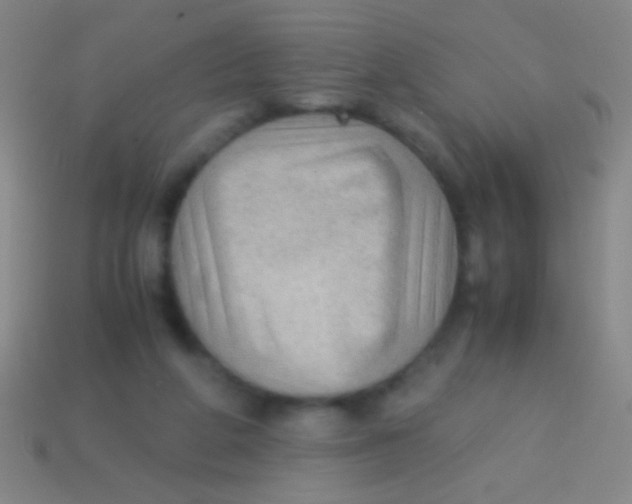 X0000113590210200910161850