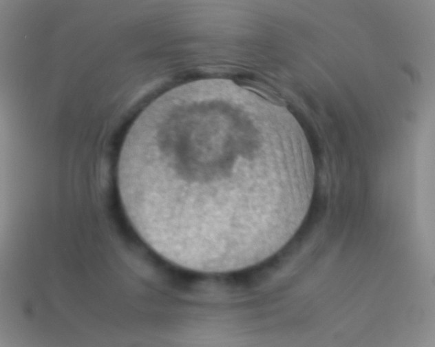 X0000113590211200910161850