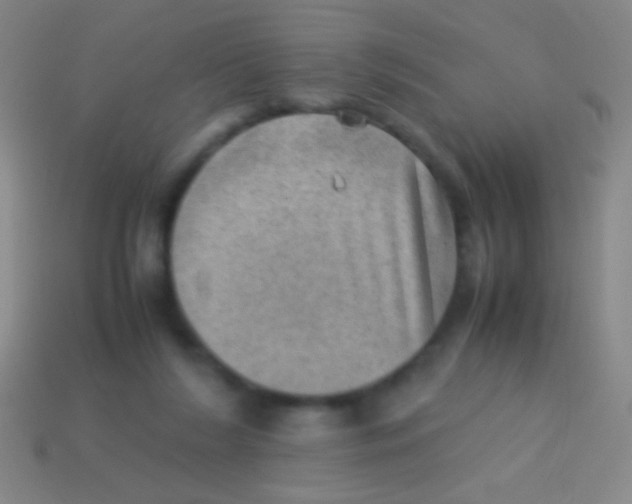 X0000113590212200910161850