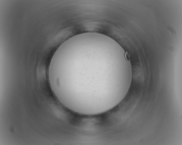 X0000113590213200910161850