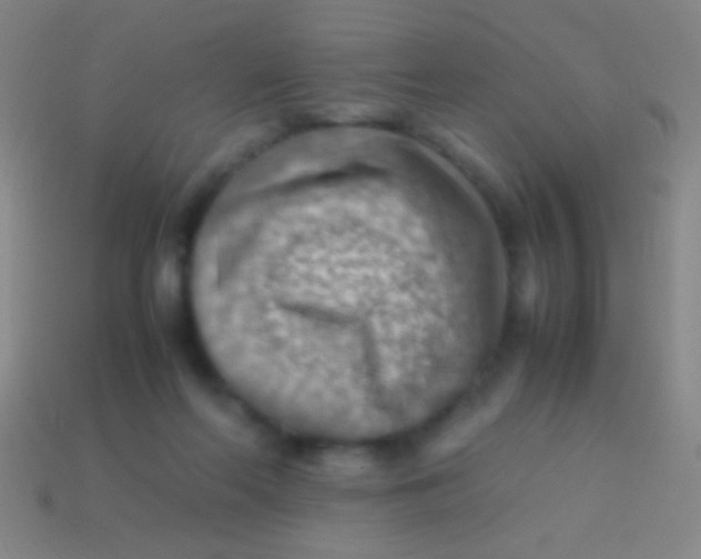 X0000113590214200910161850