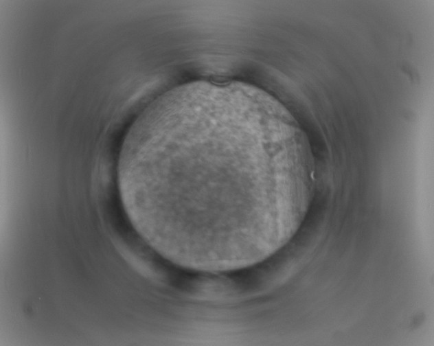 X0000113590215200910161850