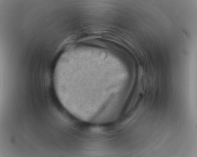 X0000113590216200910161850