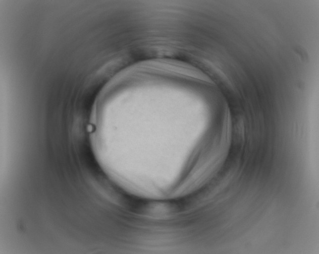 X0000113590218200910161850