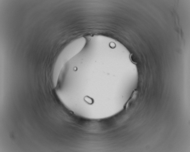 X0000113590219200910161850